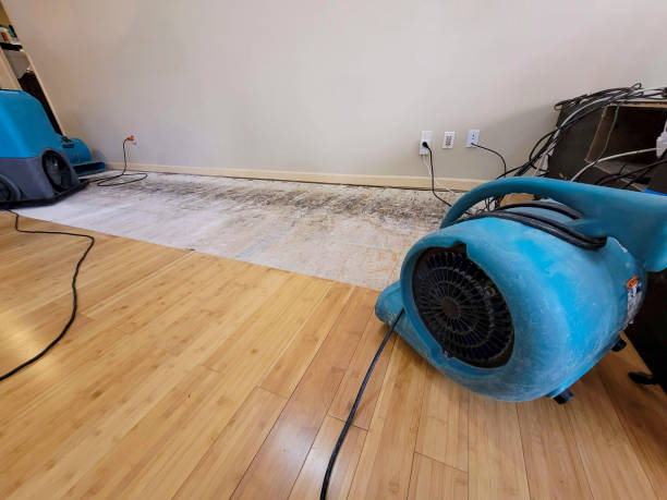 Professional Water Damage Repair technician working in Templeton, CA